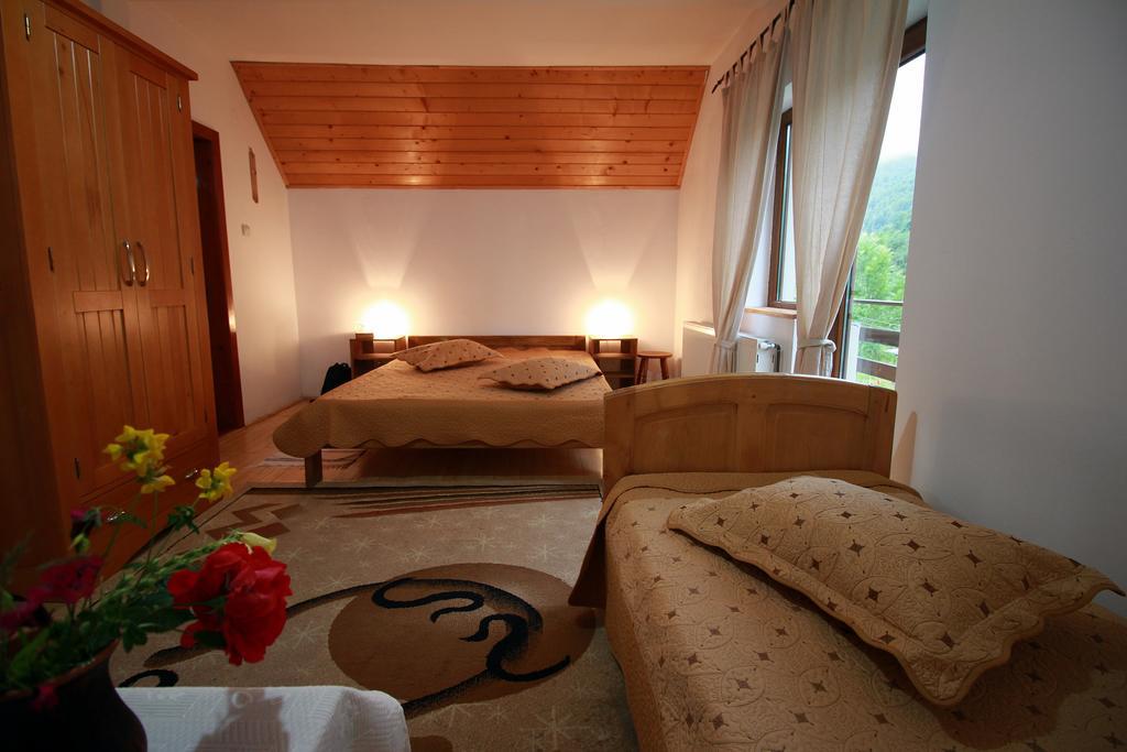 Vila Sucu Hotel Poiana Marului  Room photo